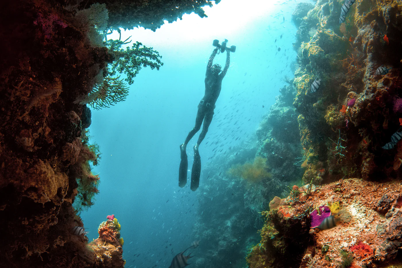 Sublue Scooter Hover